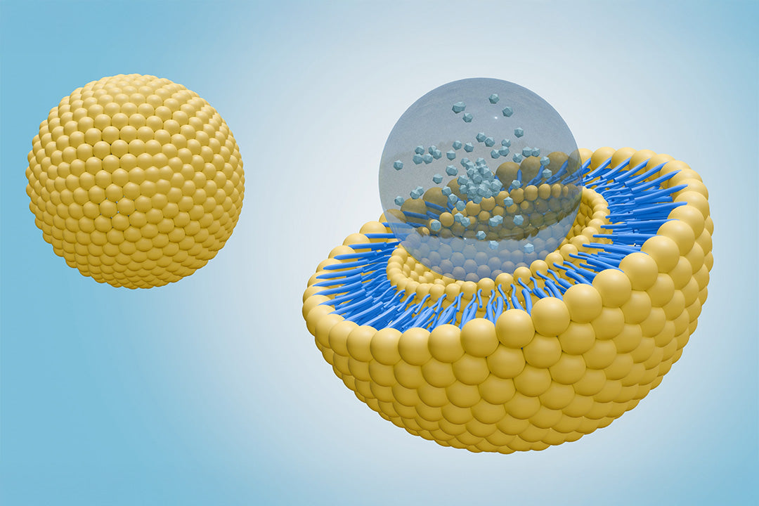 Liposomal - doppelt genial!