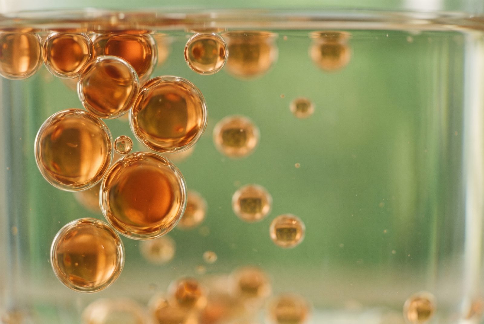 Omega-3-Fettstoffwechsel